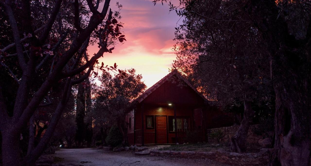 Camping Alquezar Bagian luar foto
