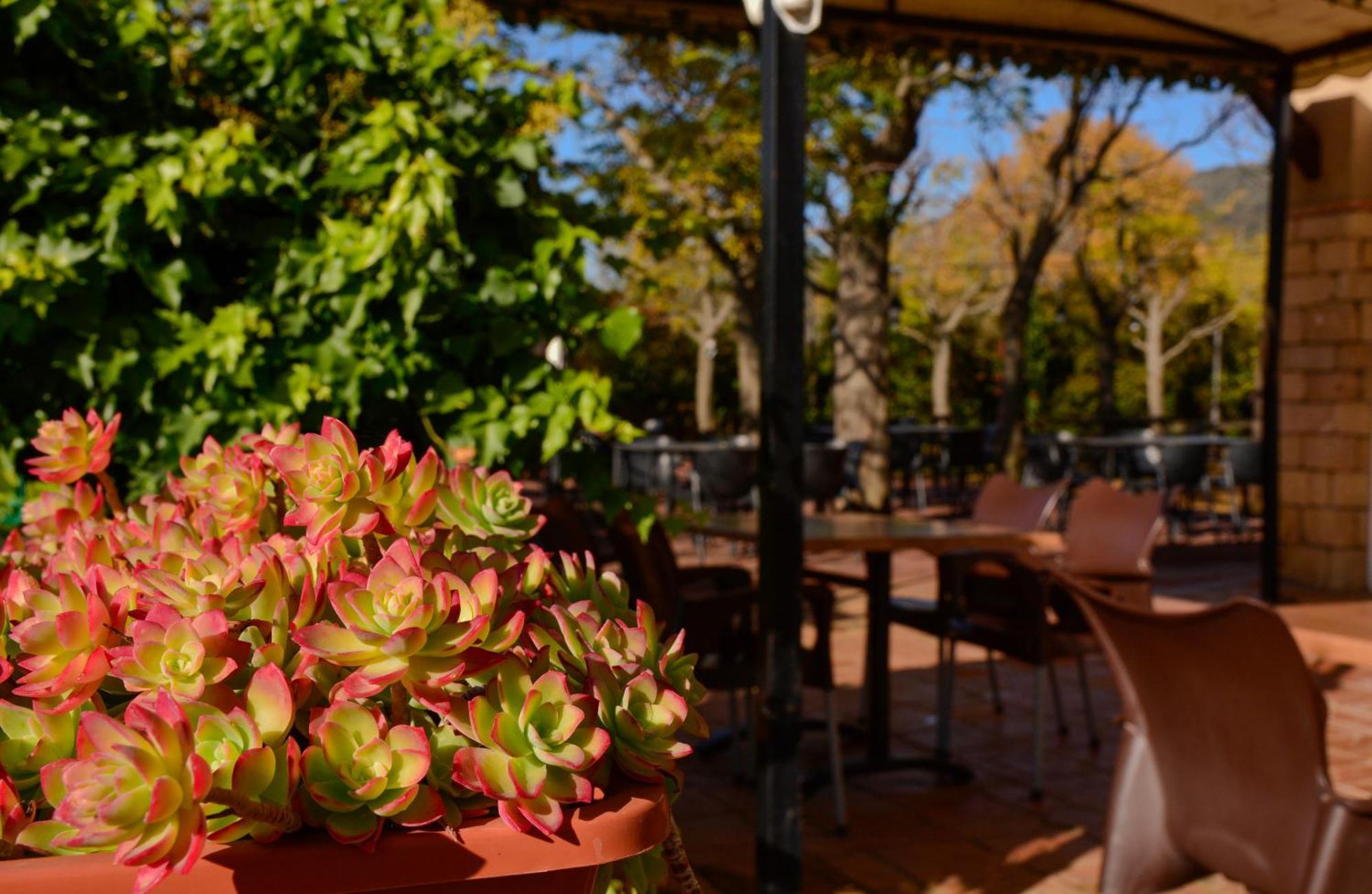 Camping Alquezar Bagian luar foto