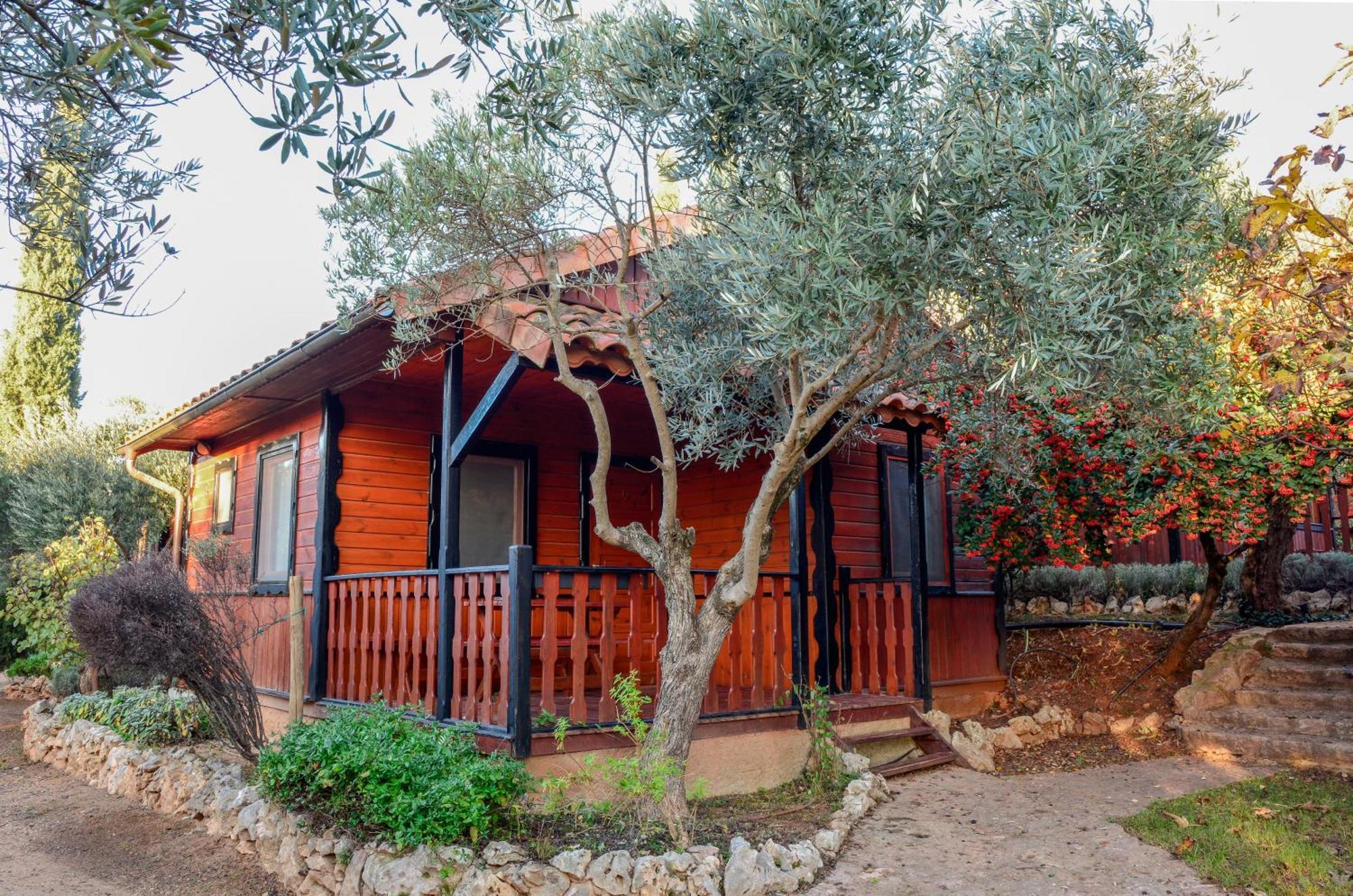 Camping Alquezar Bagian luar foto
