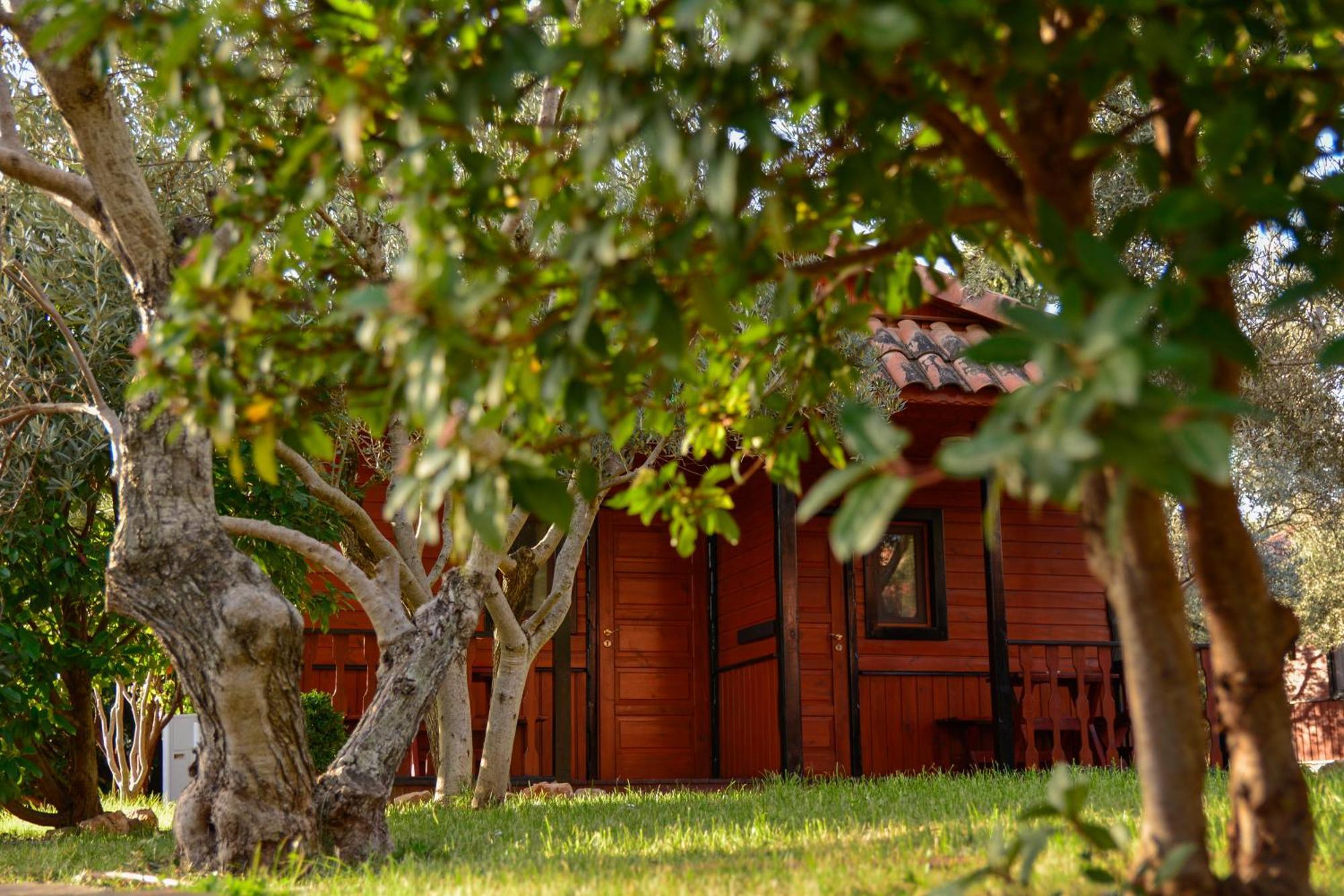 Camping Alquezar Bagian luar foto