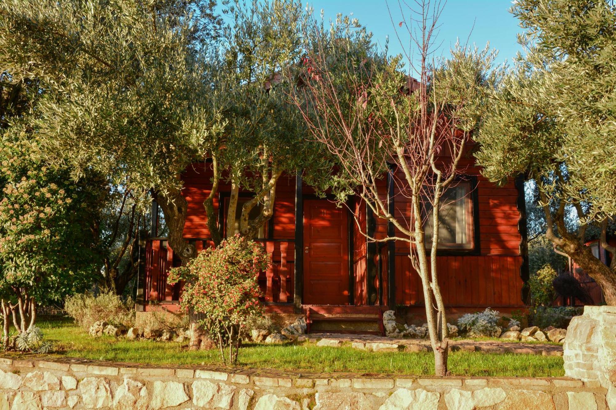 Camping Alquezar Bagian luar foto