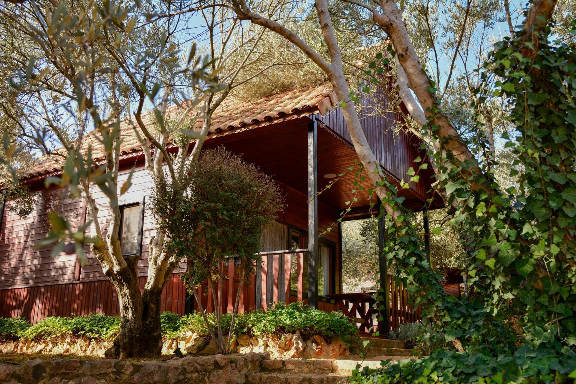 Camping Alquezar Bagian luar foto